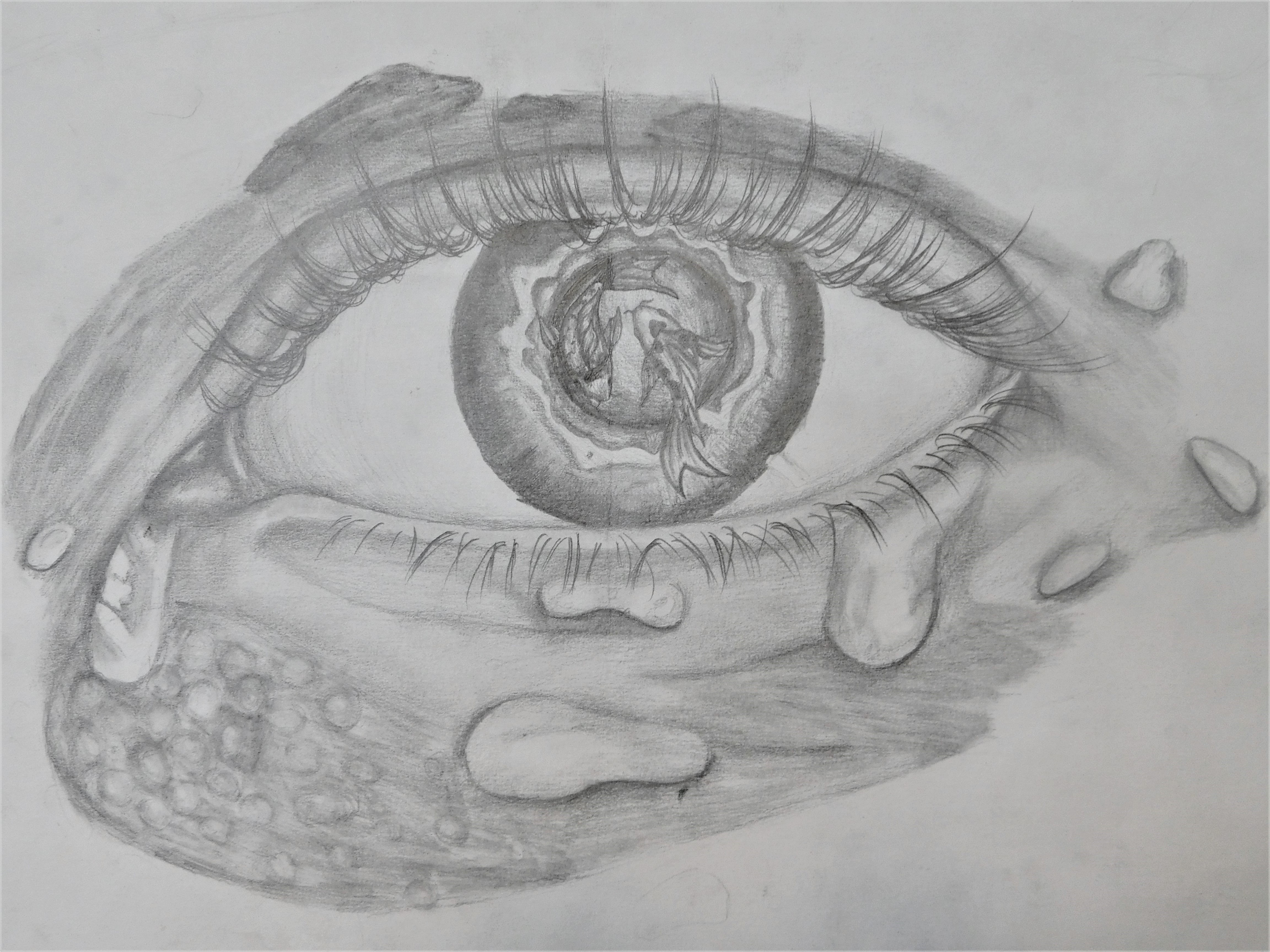 /uploaded_files/media/gallery/1592548433by Lana Dente- Bright Year 10 Drawing.JPG